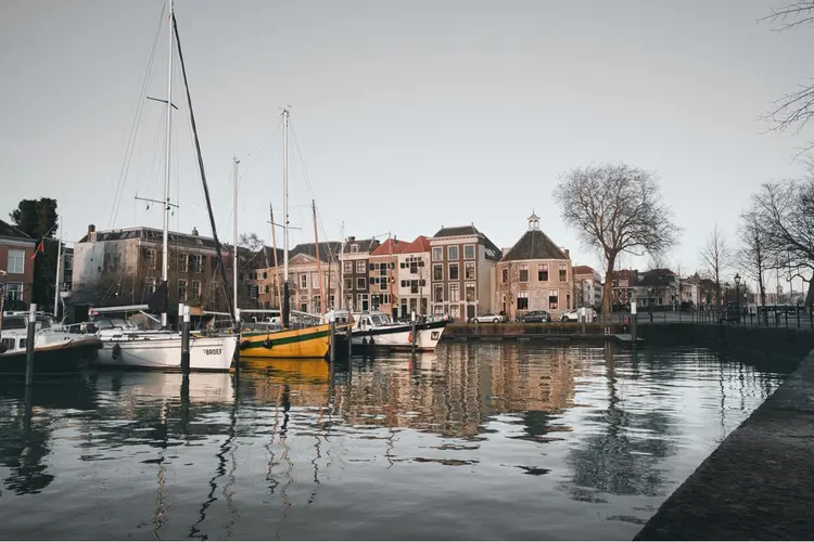 Hoe Hoornse inwoners hun digitale gewoonten gezond houden