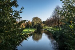 Meer bomen voor Hoorn