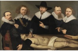 Maand van de Geschiedenis: Ziek en zeer in het Westfries Archief