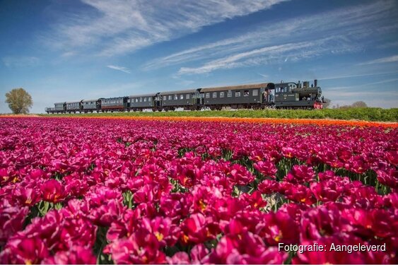 VriendenLoterij verlengt miljoenenbijdrage aan vijf musea in Noord-Holland