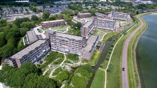 Wat kan er nog beter in de Grote Waal?