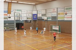 Dramatisch eerste kwartier leidt nederlaag Hovocubo in