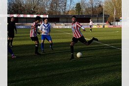 Zwaluwen´30 en Hollandia boeken zege