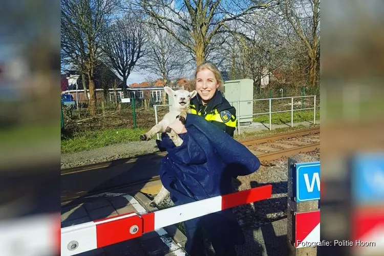 Politieagente redt lammetje van aanstormende trein