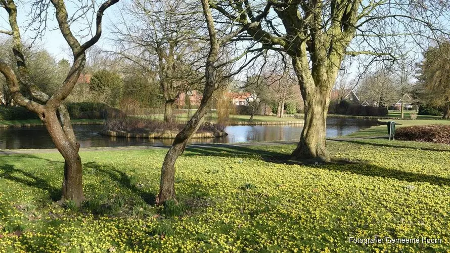Doe ook mee met het wijkfestival in Hoorn-Noord en Venenlaankwartier