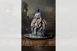 Internationale prijs voor fotograaf Hans Withoos met campagnebeeld in  Westfries Museum