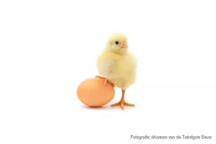 Eieren tellen met Buurman & Buurman én Dikkie Dik