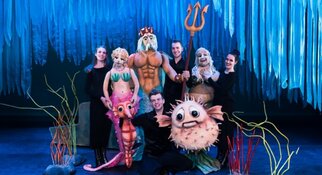 De Kleine Zeemeermin (6+)