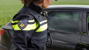 Honden in warme auto&#39;s achtergelaten