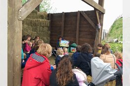 We zetten de kippen in het zonnetje!