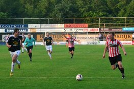 Flink aantal aanwinsten Always Forward en Zwaluwen’30