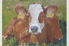 Koeienschilderen met de ezel in de wei