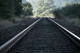 ProRail gaat bomen langs spoor aanpakken tegen treinstoringen