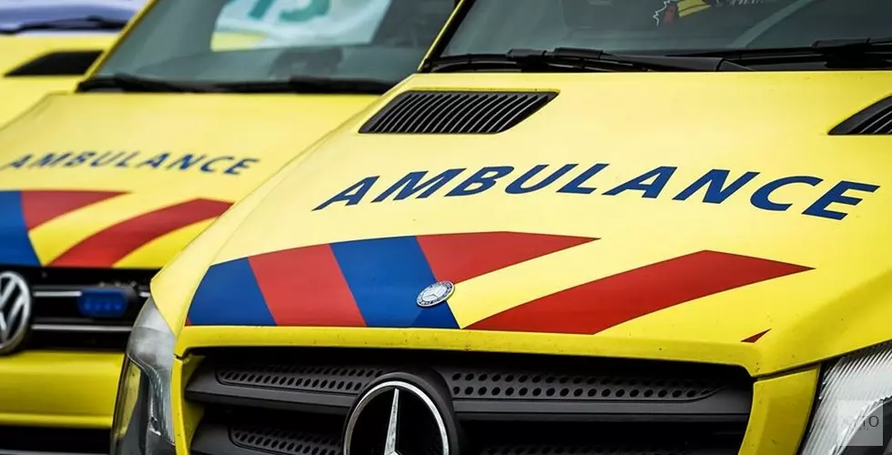 Vijfjarig meisje in Hoorn gebeten, honden in beslag genomen