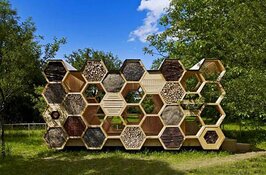 Gezoem van bijen en geur van honing en bijenwas tijdens Open Huis kinderboerderij de Woid