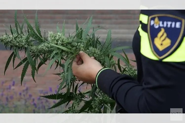 Hennepkwekerij aangetroffen in schuur