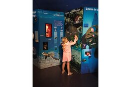 Succesvolle eerste week voor expositie ‘Waterdicht’